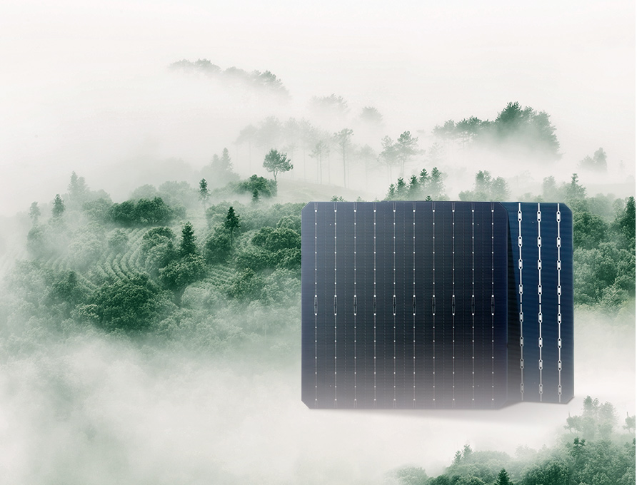 Solar Cell