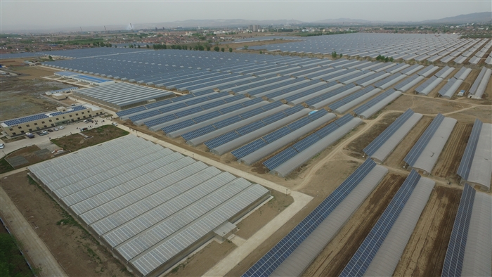 Shanxi Photovoltaic agriculture project 50MW