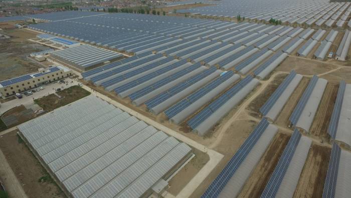 Shanxi Changzhi 50MW photovoltaic agricultural science and technology greenhouse