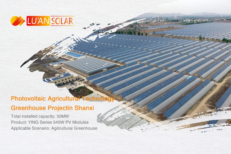Luan PERC Solar Panels